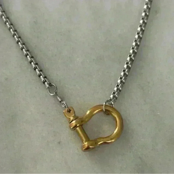 Modest Lu Jewelry - COPY - Gold Chain Two Tone Silver Horse Bit Chunky Charm Clasp Carabiner Neckla…